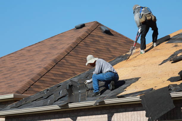 Best Roof Leak Repair  in Callaway, FL