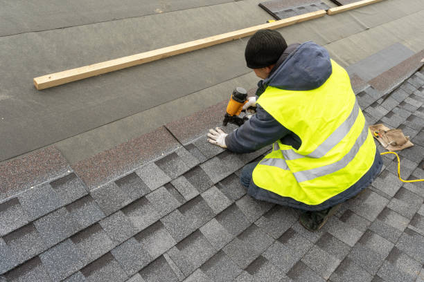 Best Roof Moss and Algae Removal  in Callaway, FL