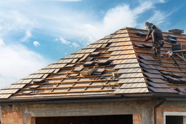 Best Skylight Installation and Repair  in Callaway, FL